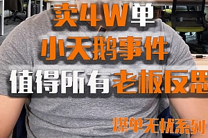 电商价格误设警钟长鸣:一次“误操作”引发的行业深思